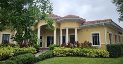 Diane Torrisi and Kevin Steffanni