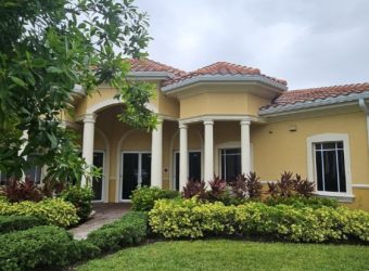 Diane Torrisi and Kevin Steffanni