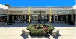 Lee Luxury Properties of Naples, LLC